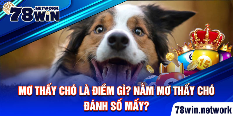 Mơ thấy chó là điềm gì? Nằm mơ thấy chó đánh số mấy?