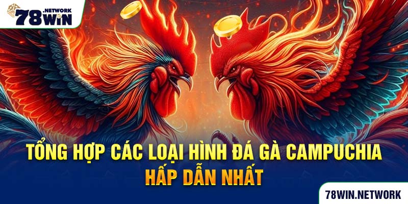 Tổng hợp các loại hình đá gà Campuchia hấp dẫn nhất Tổng hợp các loại hình đá gà Campuchia hấp dẫn nhất