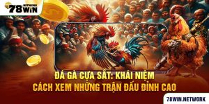 Đá gà cựa sắt: Khái niệm, cách xem những trận đấu đỉnh cao